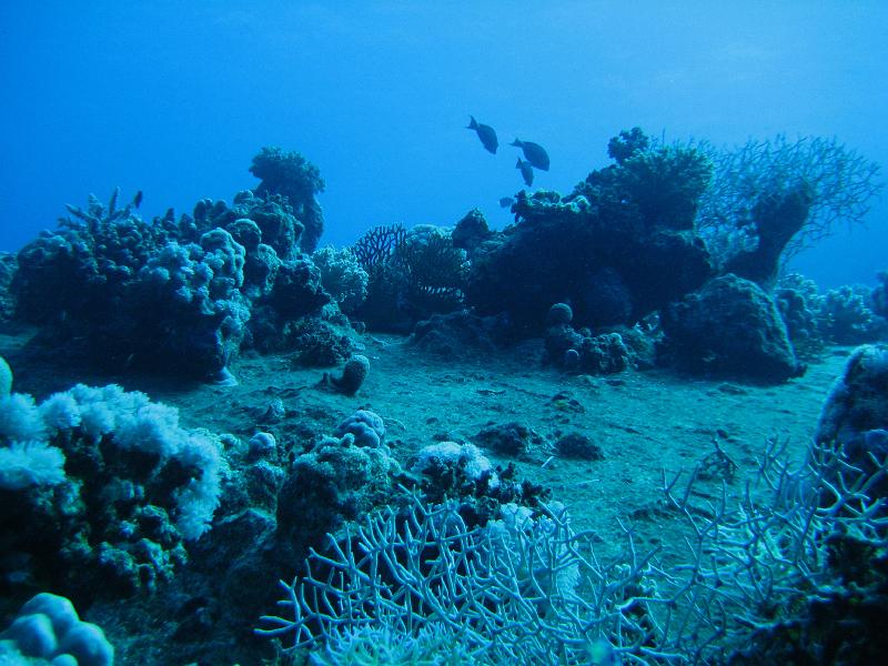 2009-12-03 11-41-18S.jpg